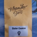 Venta: Sister cookies Mamiko