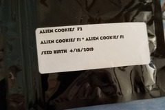 Sell: Alien cookies f2 Jaws