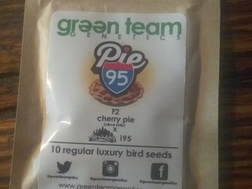 Venta: Green Team's Pie95 + freebies