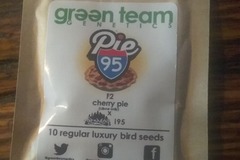 Sell: Green Team's Pie95 + freebies
