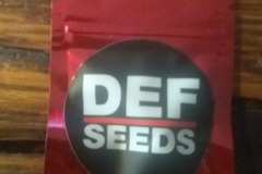 Vente: Def Seeds Def Kafe +freebies
