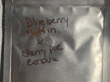 Sell: Blueberry Muffin x Cherry Pie Redux