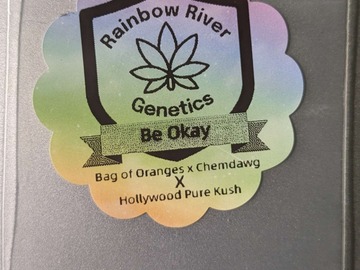Vente: Be Okay by Rainbow River Genetics
