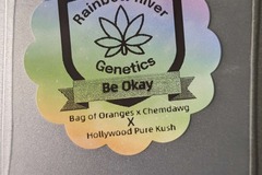 Venta: Be Okay by Rainbow River Genetics