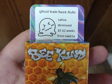 Vente: Ghost train haze s1 automatic  5+ pack