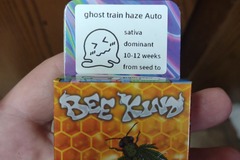 Venta: Ghost train haze s1 automatic  5+ pack