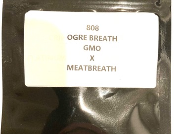 Sell: 808 - ‘Ogre Breath’ GMO x Meatbreath