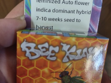 Sell: Wedding cake feminized Auto flower 5+ seeds