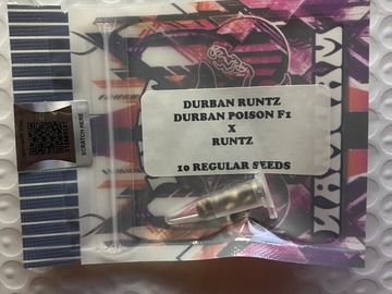 Venta: Durban Runtz from Tiki Madman (NOT DURBAN POISON)