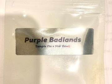 Sell: Green point ‘purple badlands’temple flo x chem