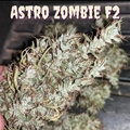 Venta: Astro Zombie F2