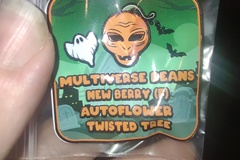 Sell: Twisted tree ( new berry feminized Auto flower) 3 pack