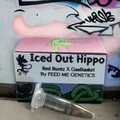 Venta: ICED OUT HIPPO  (Red Runtz x GasBasket) 7 FEMS