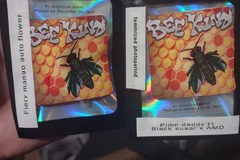 Sell: 20 + seeds) 3 different breeders