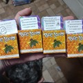 Sell: Auto flower Bee kind sampler (4 packs) feminized
