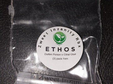 Sell: Ethos "Zweet Inzanity RBX" 3 Feminized Seeds Per Pack