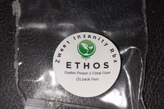Sell: Ethos "Zweet Inzanity RBX" 3 Feminized Seeds Per Pack