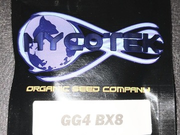 Sell: Mycotek GG4 BX8
