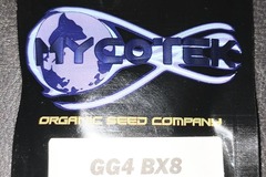 Sell: Mycotek GG4 BX8