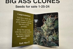 Sell: Serious seeds kali mist (feminized)