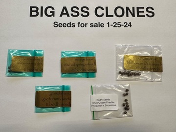 Vente: Bodhi seeds 5 pack deal! Dream lotus, buddhas hand, ext!!!