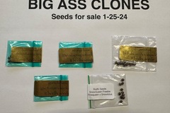 Sell: Bodhi seeds 5 pack deal! Dream lotus, buddhas hand, ext!!!