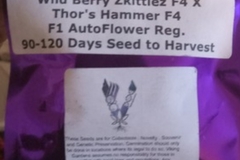 Venta: Purple Thunder Wild Berry zkittlez f4 x Thors hammer f4  seeds