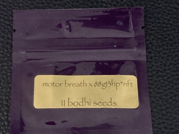 Venta: Motorbreath 15 x 88G13HP  *Rare*- Bodhi Seeds