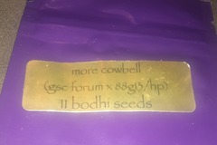 Sell: Bodhi more cow bells
