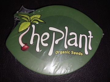 Venta: Nicole x OG Kush by The Plant Organic Seeds