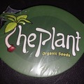 Sell: Nicole x OG Kush by The Plant Organic Seeds