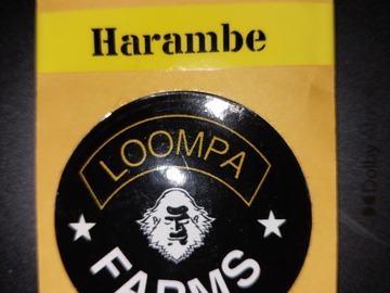Vente: Harambe by Loompa Farms, 10 Feminized Seeds On Sale -$25