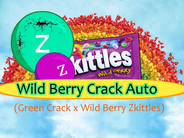 Wild Berry Crack Auto (12 Regular Seeds)