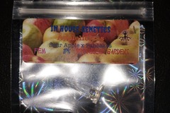 Sell: 1 Applelicious Feminized Seed by In House Genetics