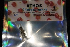 Venta: Cherry Banger Regular Seeds by Ethos