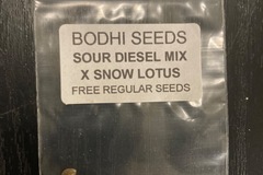 Sell: Sour Diesel Mix X Snow Lotus - Bodhi Seeds