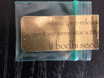 Vente: Nibiru - Bodhi Seeds