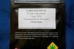 Sell: Gary Payton S1 (SoLoud Genetics)