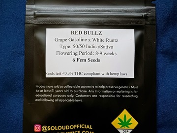 Sell: Red Bullz S1 (SoLoud Genetics)