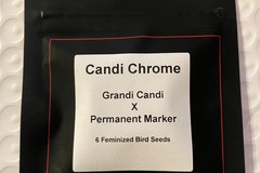 Venta: Candi Chrome from LIT Farms
