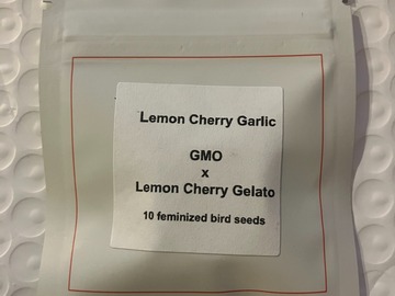 Sell: Lemon Cherry Garlic from LIT Farms