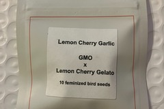 Venta: Lemon Cherry Garlic from LIT Farms