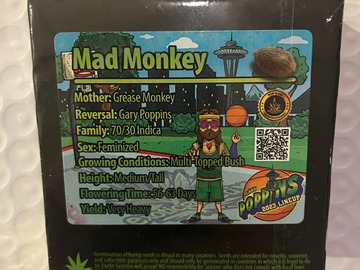 Vente: Mad Monkey from Exotic Genetix