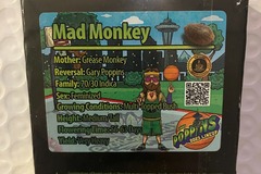 Vente: Mad Monkey from Exotic Genetix