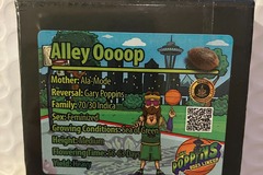 Sell: Alley Oooop from Exotic Genetix