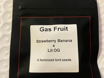 Vente: Gas Fruit from LIT Farms
