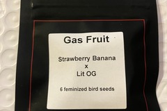 Vente: Gas Fruit from LIT Farms