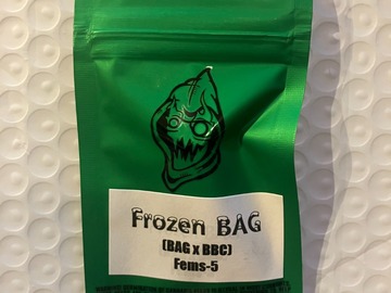 Vente: Frozen Bag from Robinhood
