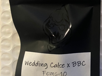 Sell: Wedding Cake x BBC from Square One