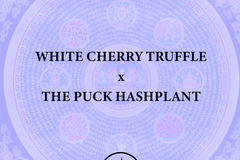 Venta: White Cherry Truffle x The Puck Hashplant